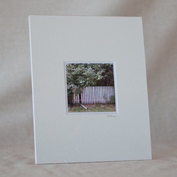 "Apple Harvest #2" Mini Photography Art Print - Picture 1 of 3